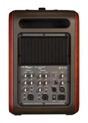 LR Baggs Synapse Personal PA System