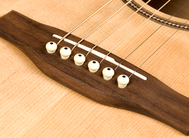 Seagull Performer CW Mini Jumbo Q1