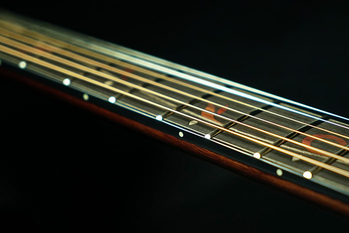 Ibanez AE2912-LGS