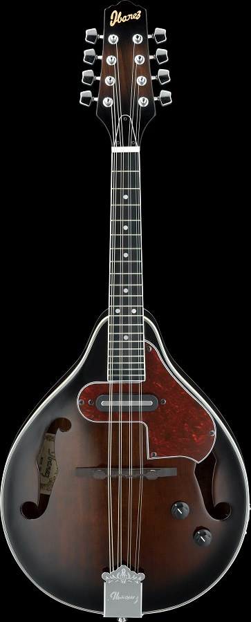 Ibanez M510E-DVS