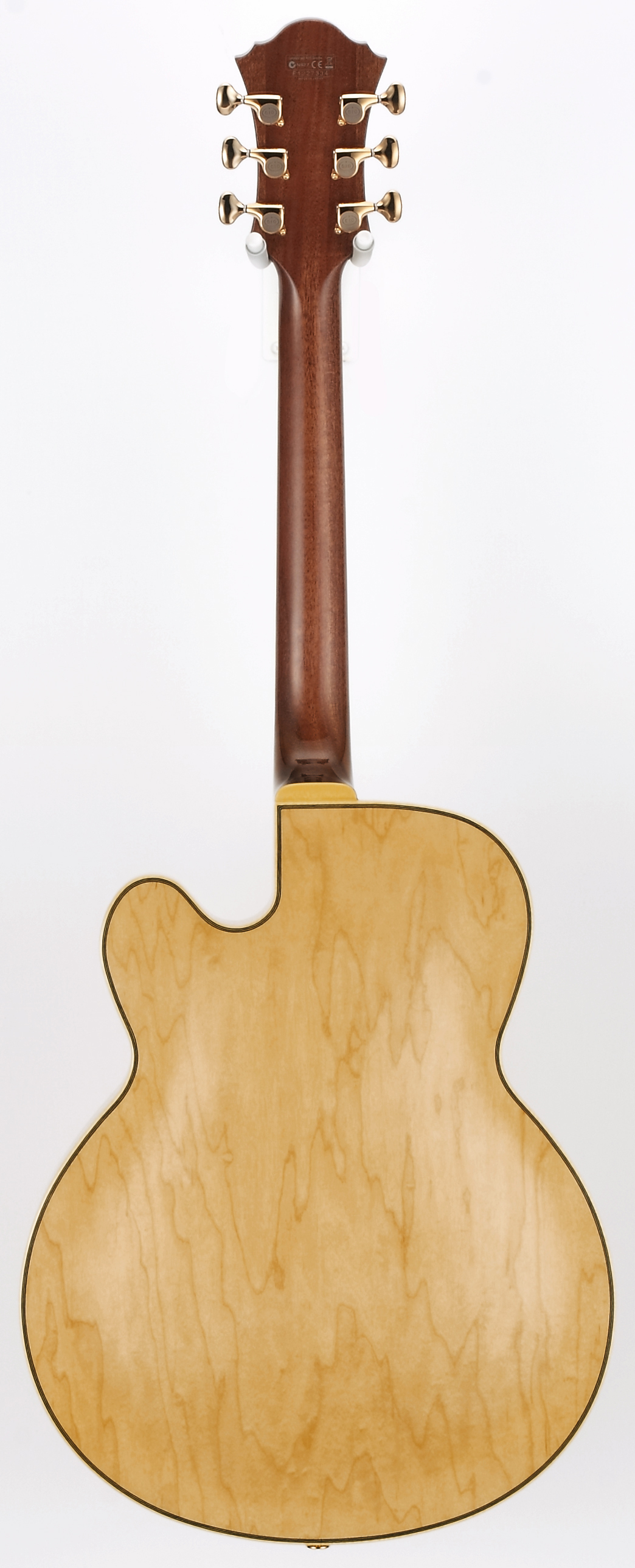 Ibanez PM200 NT
