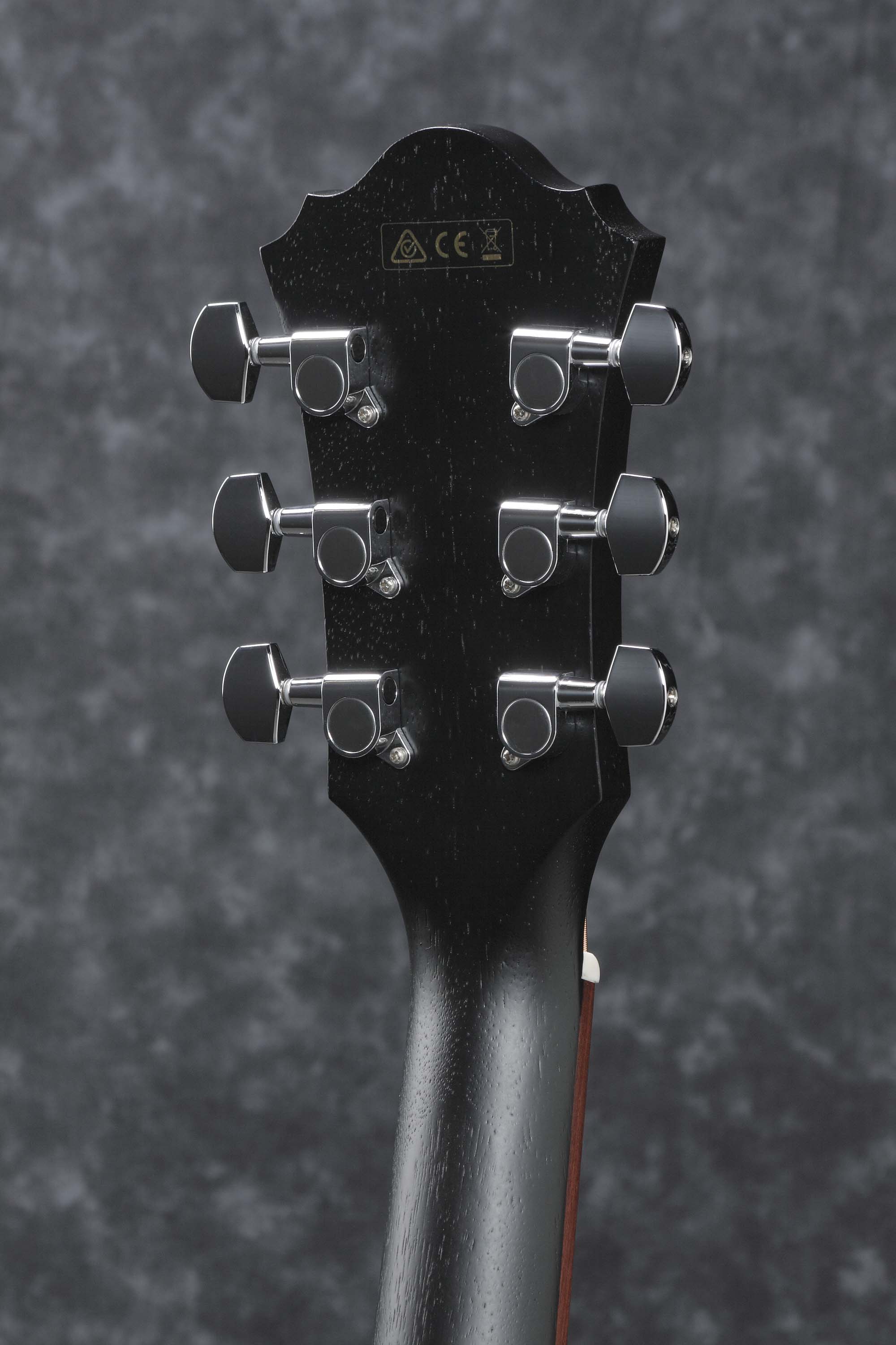 Ibanez AE295-WK