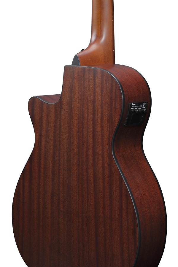 Ibanez AEGB30E-NTG