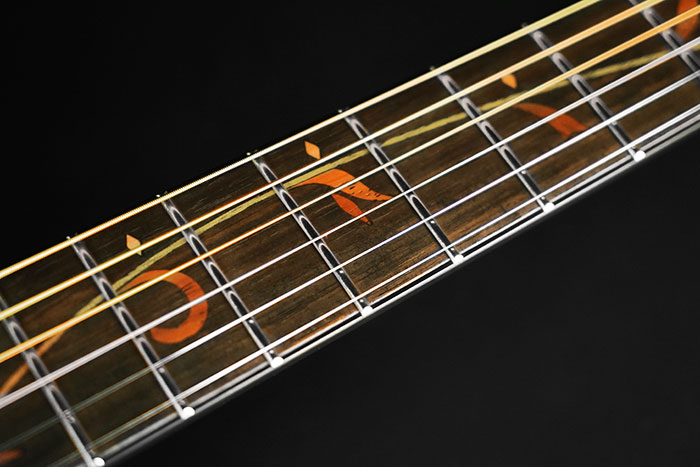 Ibanez AE2912-LGS