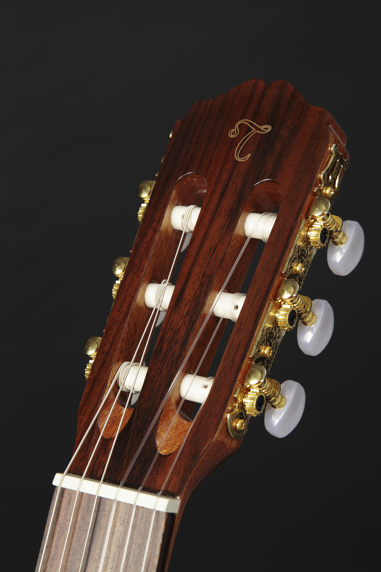 Takamine GC5CE-Nat