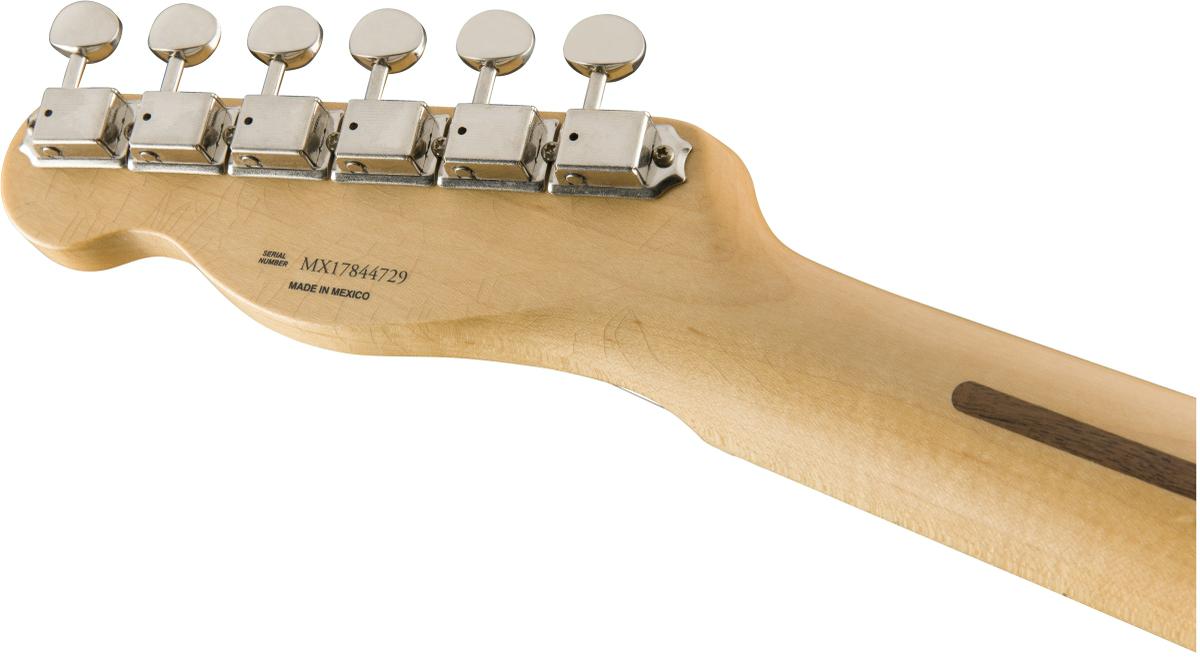Fender Brad Paisley Road Worn Tele