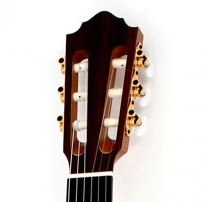 Höfner HGL5
