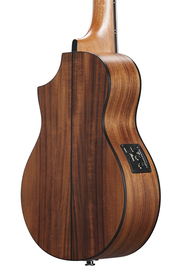 Ibanez EWP12EWB-OPN