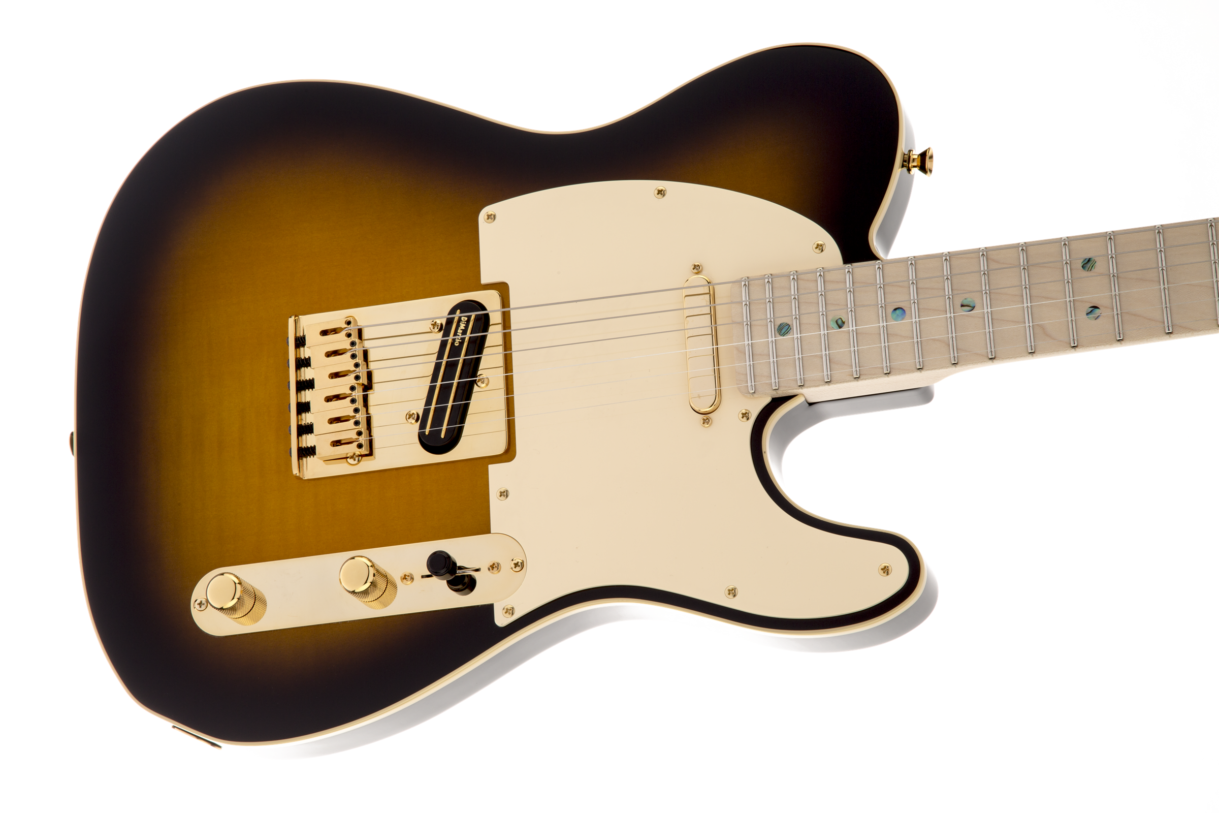 Fender Richie Kotzen Tele MN BS
