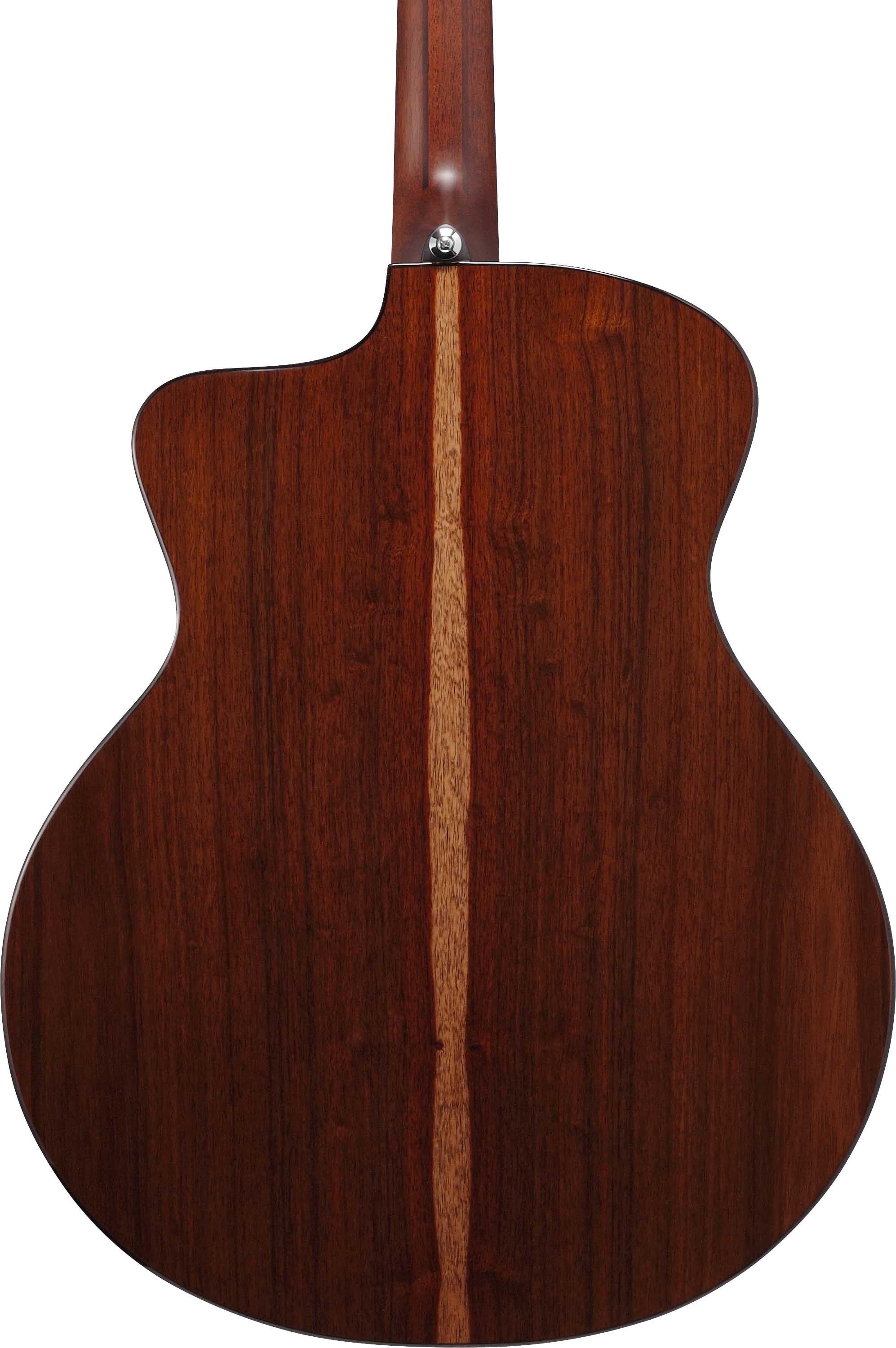 Ibanez JGM10-BSN