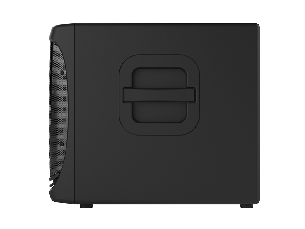 Mackie DLM12S