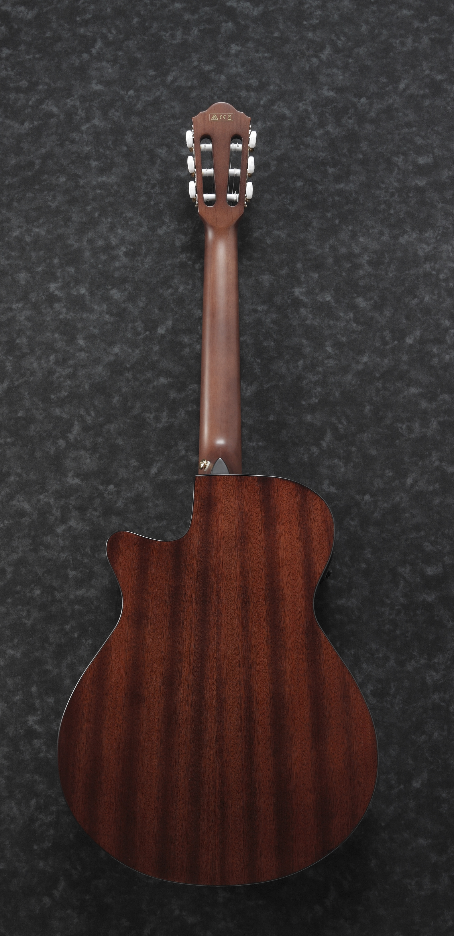 Ibanez AEG50N-NT