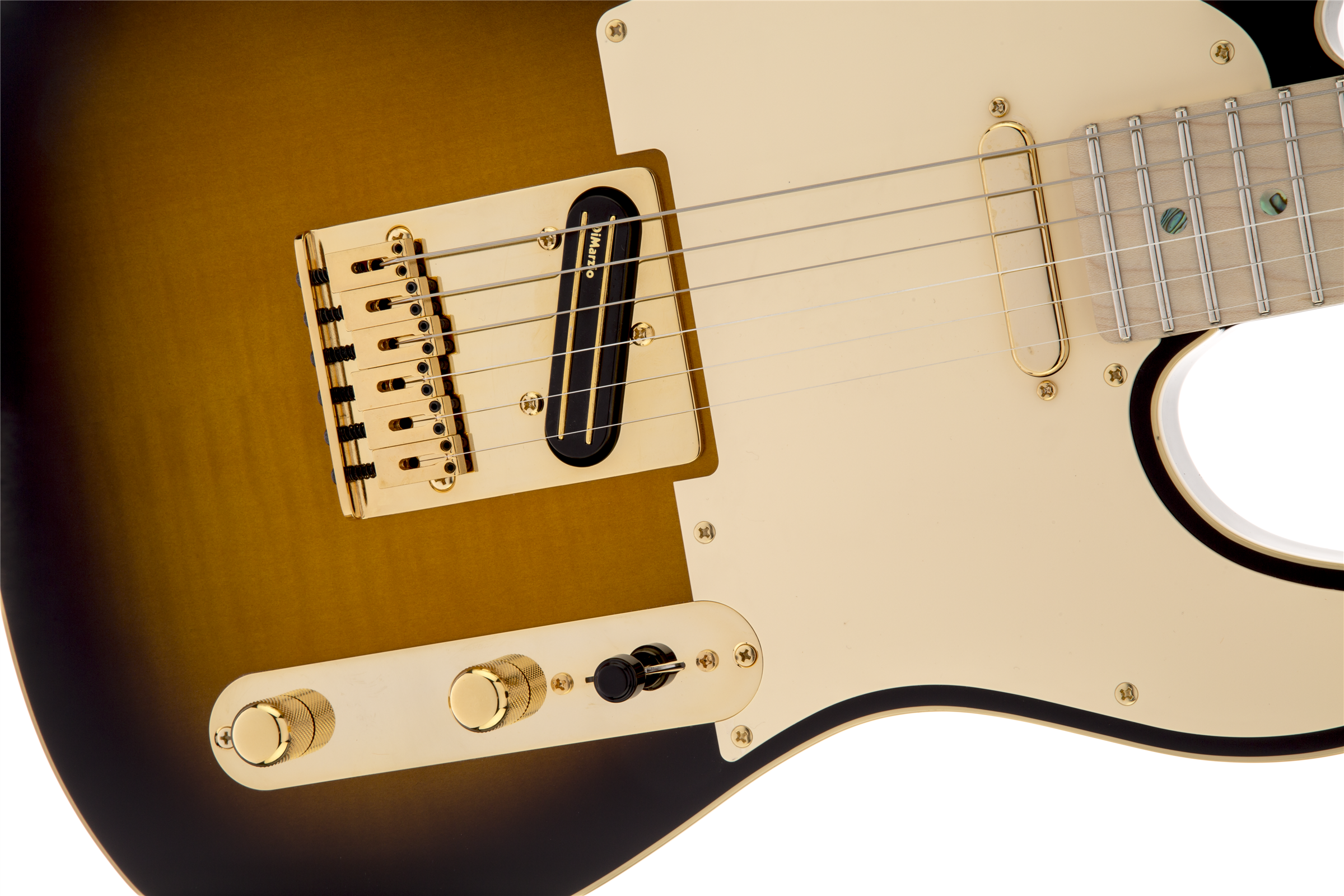 Fender Richie Kotzen Tele MN BS