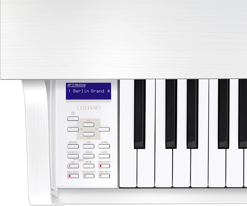 Casio GP-310 WE