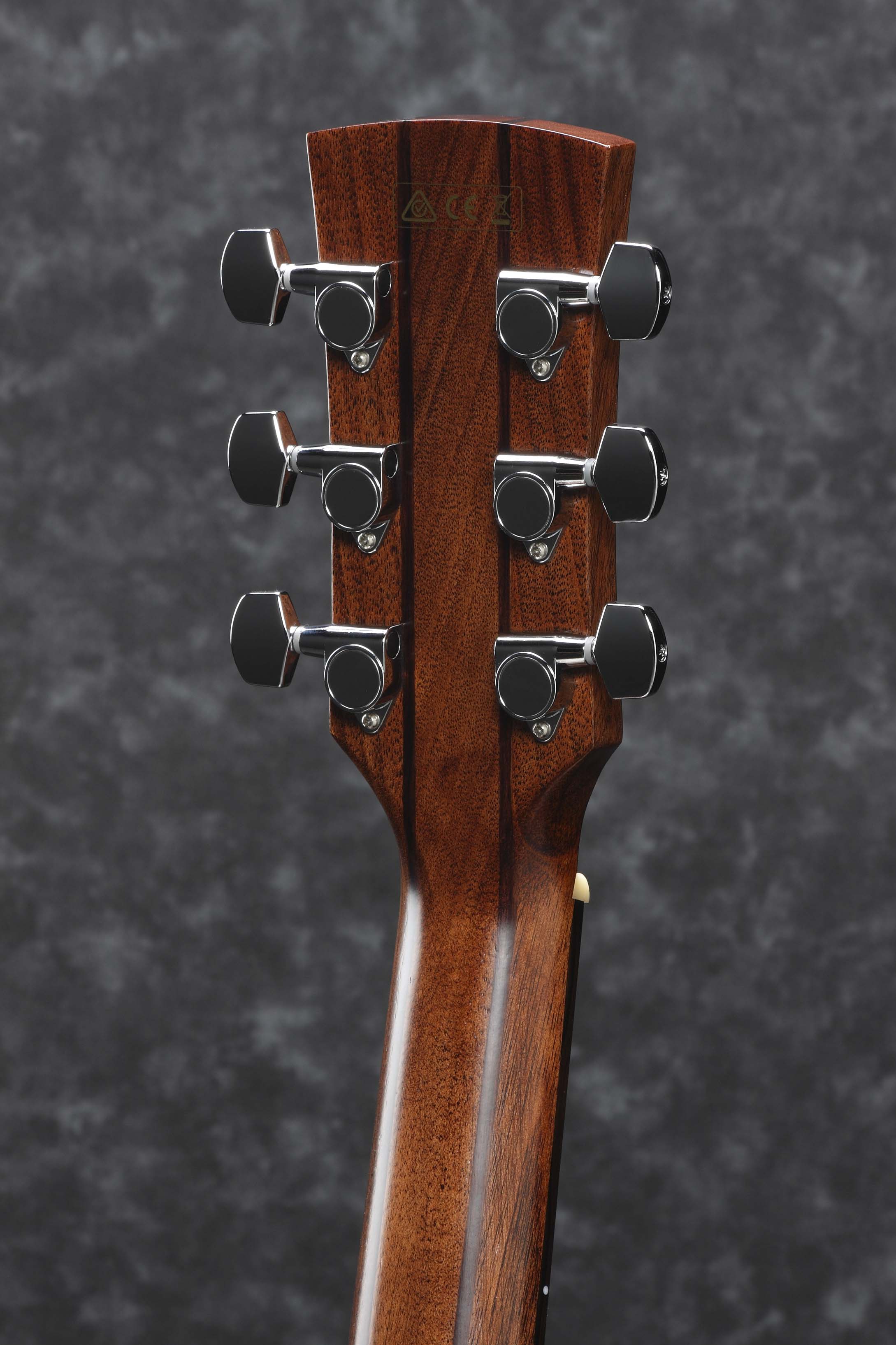 Ibanez ACFS300CE-OPS