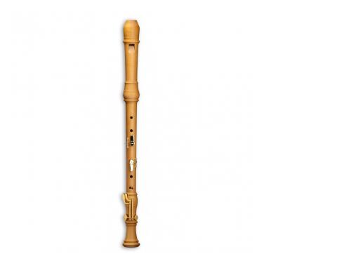 Mollenhauer Denner Comfort Tenor Birnbaum 5416C