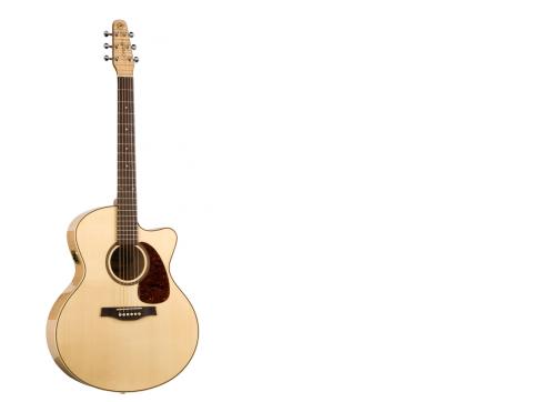 Seagull Performer CW Mini Jumbo Q1