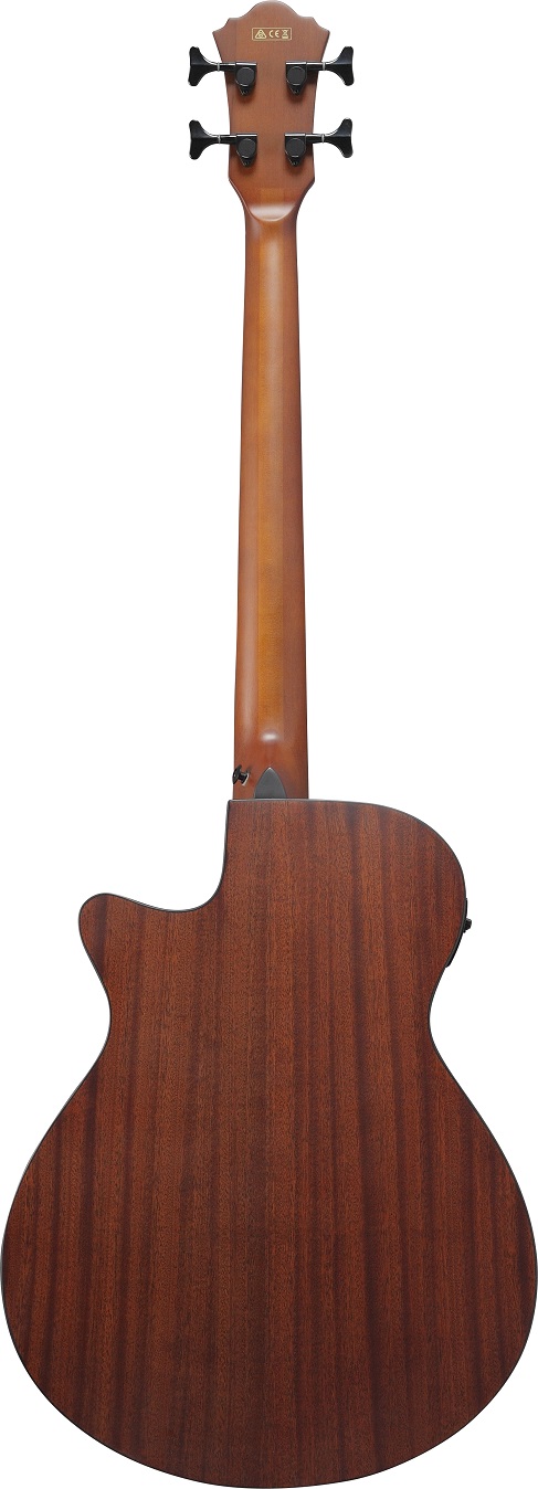 Ibanez AEGB30E-NTG
